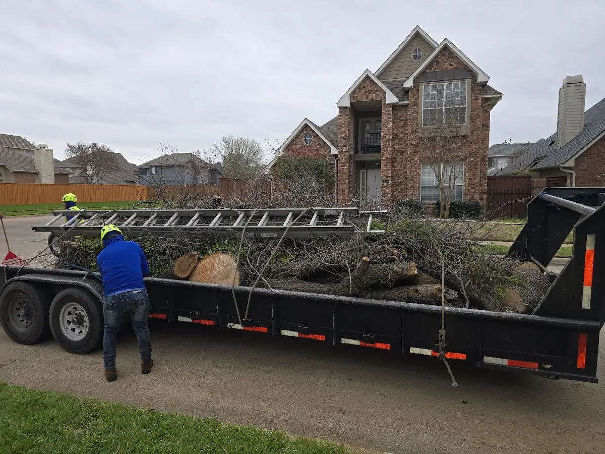 Expert Lot Clearing with proper safety equipment in Sebring